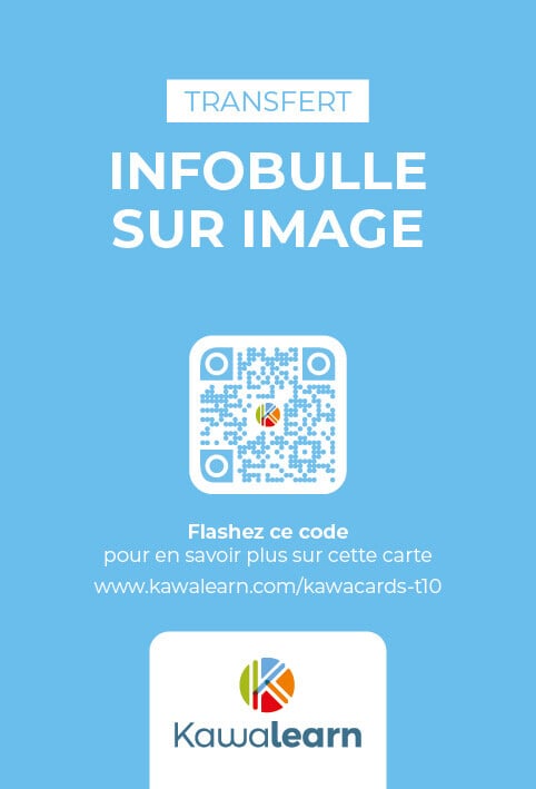 Verso Kawacards Infobulle sur Image T10