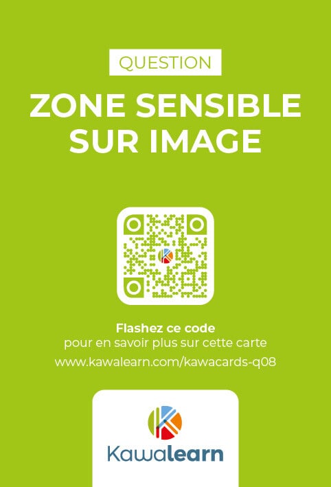 Verso Kawacards Zone Sensible sur Image Q08